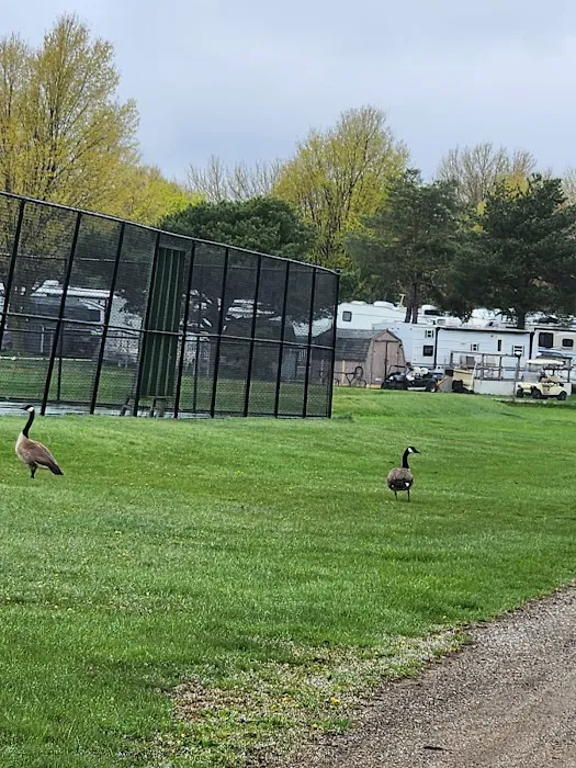 Greenwood Acres Family Campground Picture 3