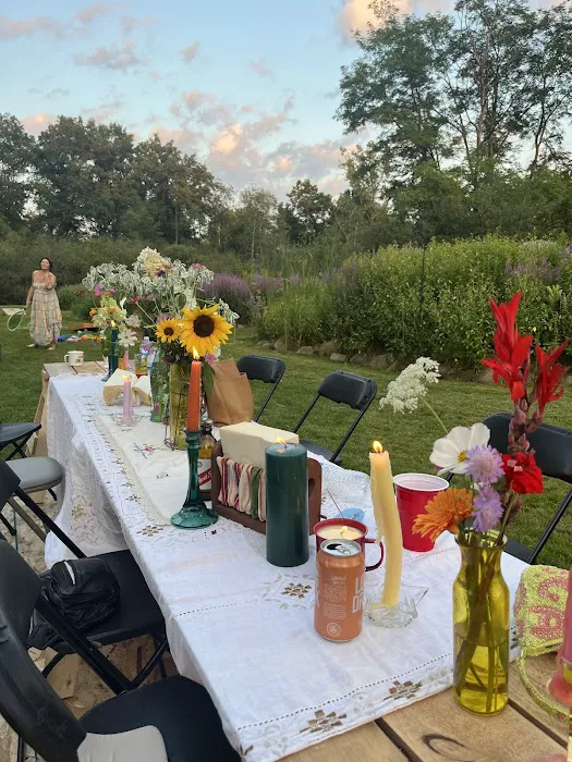 Camp davis Picture 2