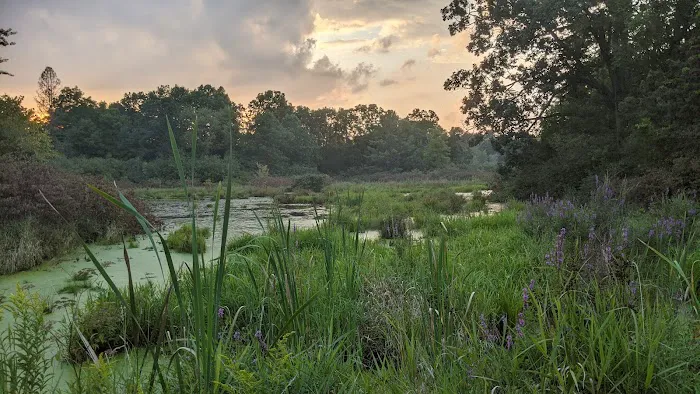 Bishop Lake Campgrounds Picture 9
