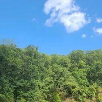Bluffs ico