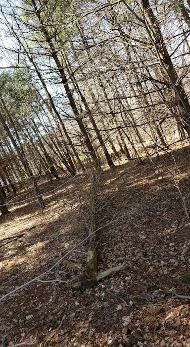 Bluffs Picture 4