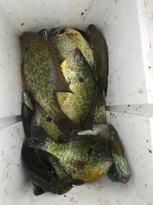 Six Lakes Campground Picture 1