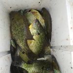 Six Lakes Campground