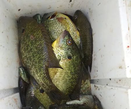 Six Lakes Campground