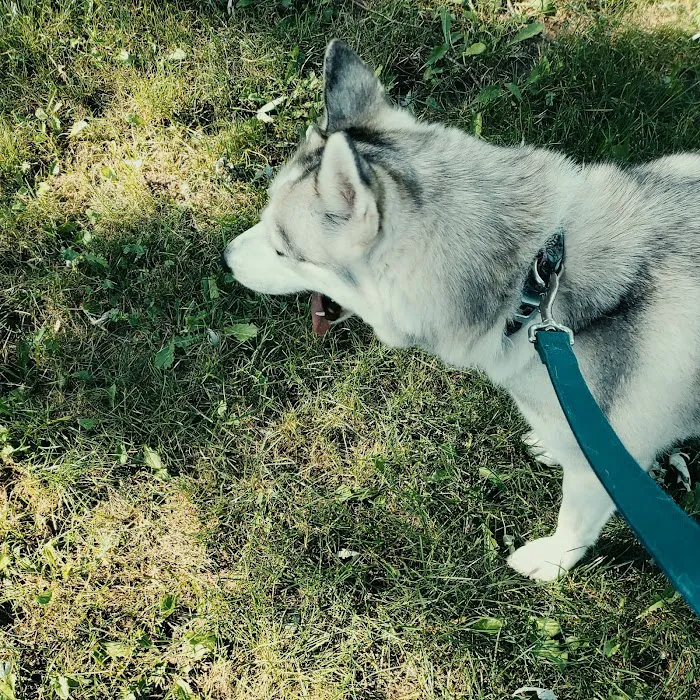 Moscow Maples RV Park Picture 10