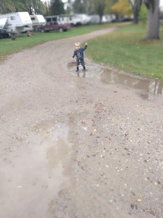Shady Acres Campgrounds Picture 7