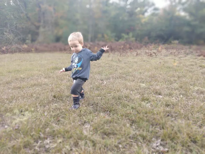 Shady Acres Campgrounds Picture 1