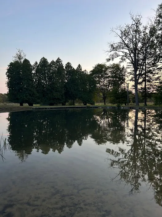 Southern Michigan Marble Springs Campground Picture 7