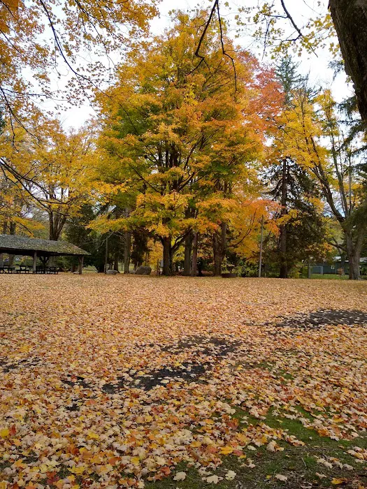 Southern Michigan Marble Springs Campground Picture 8