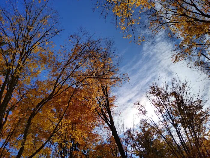 Southern Michigan Marble Springs Campground Picture 4