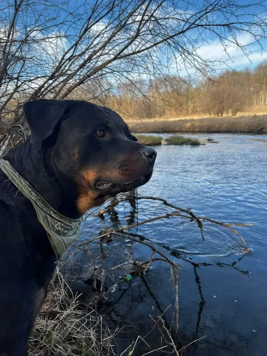 Way Back Campground Picture 6