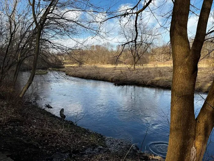 Way Back Campground Picture 5