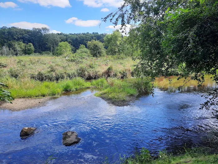 Way Back Campground Picture 7