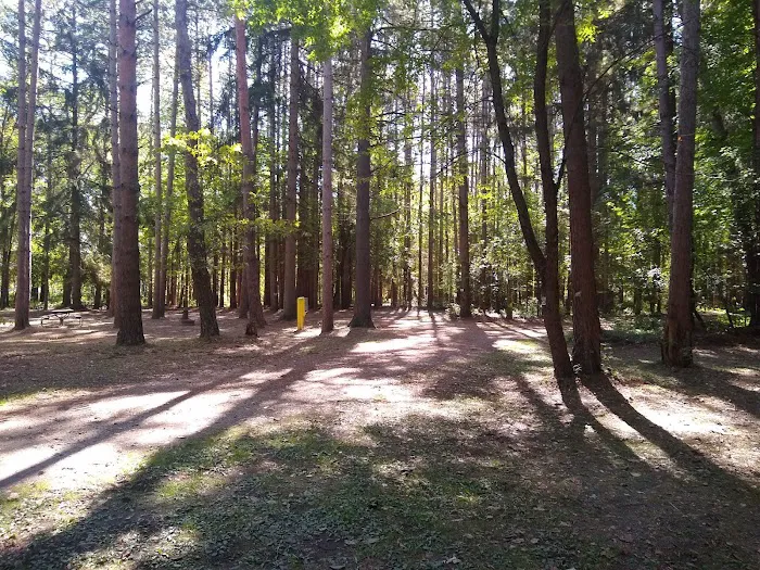 Wildwood Campground Picture 7