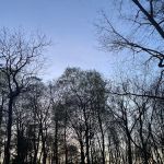 Wildcat Woods Campgrounds