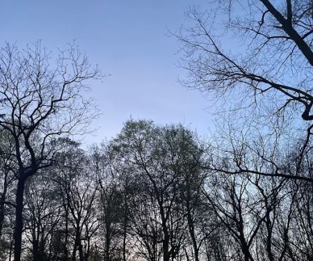 Wildcat Woods Campgrounds