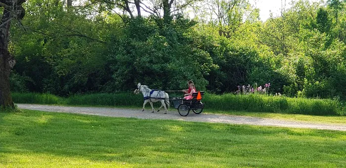 Sycamore State Park Group Camp Picture 3