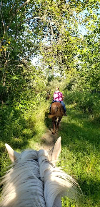 Sycamore State Park Group Camp Picture 8