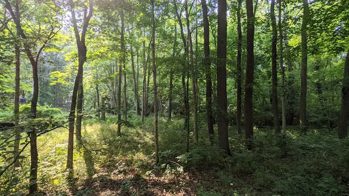 The Lake of the Woods Campground Picture 3