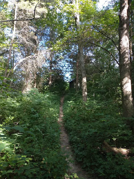 Cedar Ridge Backcountry Campsite Picture 1