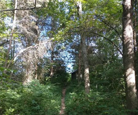 Cedar Ridge Backcountry Campsite