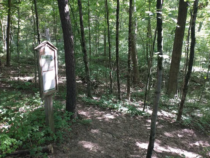 Cedar Ridge Backcountry Campsite Picture 8