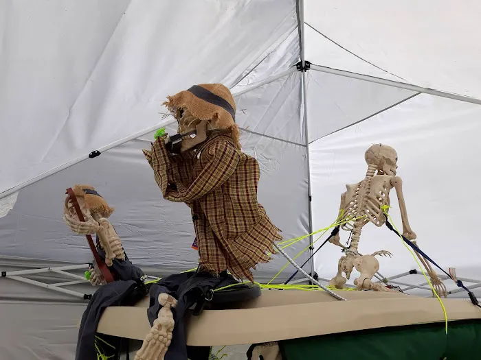 East Fork State Park Campgrounds Picture 3