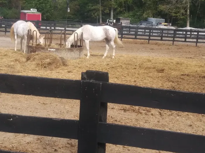 East Fork State Park Campgrounds Picture 8