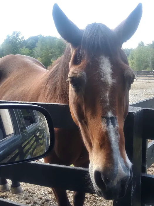 East Fork State Park Campgrounds Picture 4