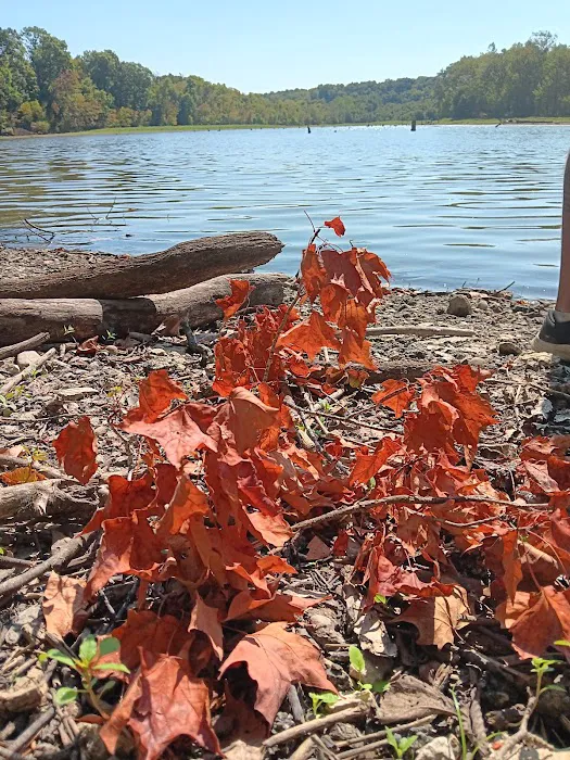 East Fork Campgrounds Check-In Picture 3