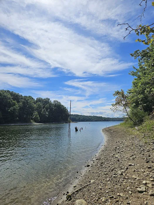 East Fork State Park Campground Picture 1