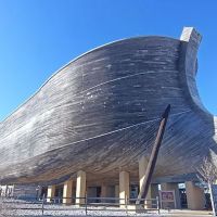 Noahs Ark ico