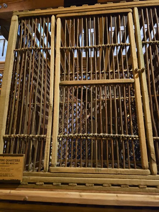 Noahs Ark Picture 6