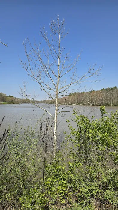 Stonelick Campground Office Picture 2