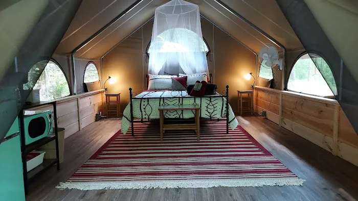 Red River Gorge Glamp Camp Picture 7