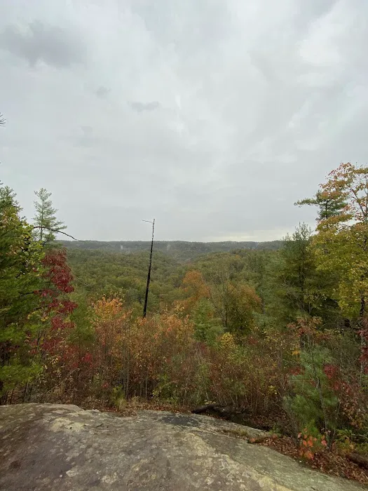 Koomer Ridge Campground Picture 7