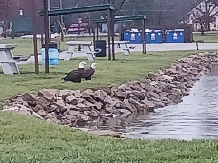 Lake Cozy-Dale Campground & Restaurant Picture 6