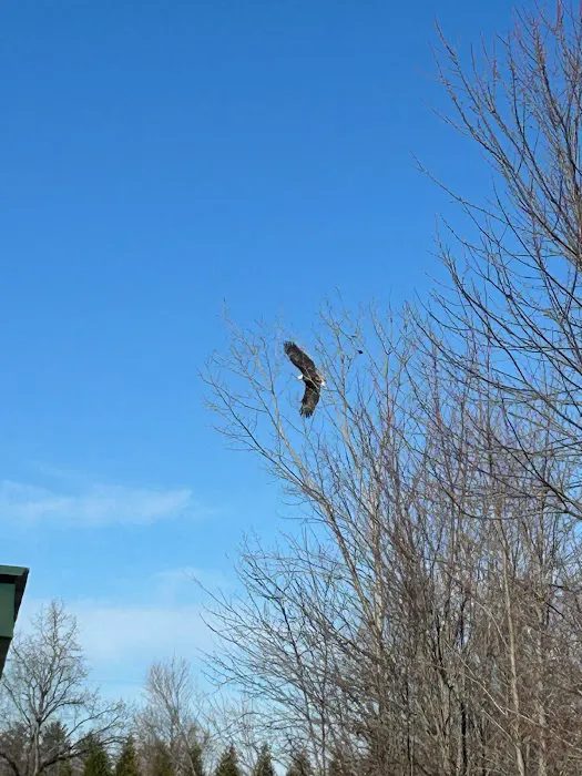 Lake Cozy-Dale Campground & Restaurant Picture 5