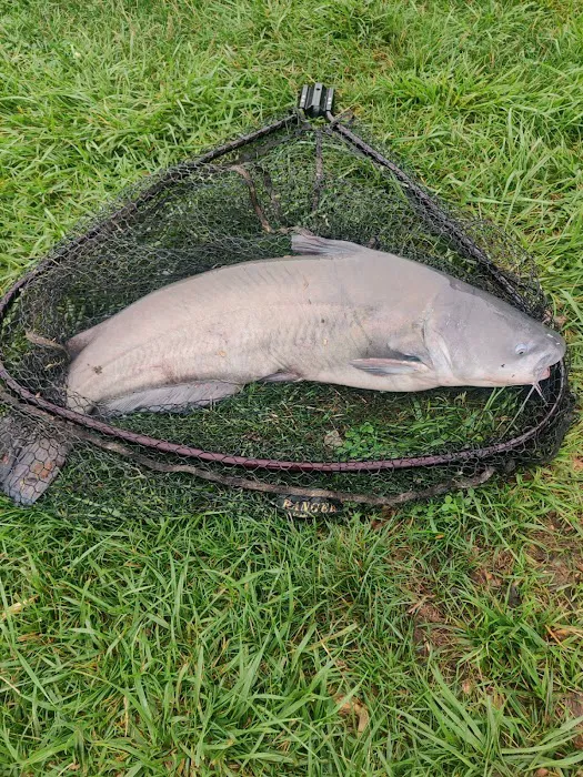 Lake Cozy-Dale Campground & Restaurant Picture 8