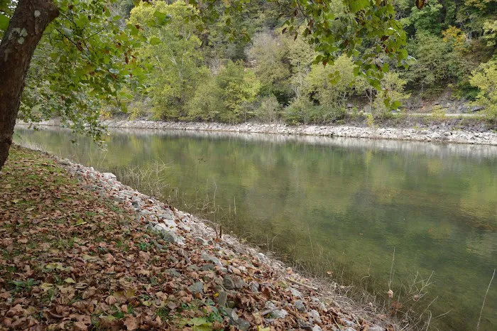 Island Park Campground Picture 5