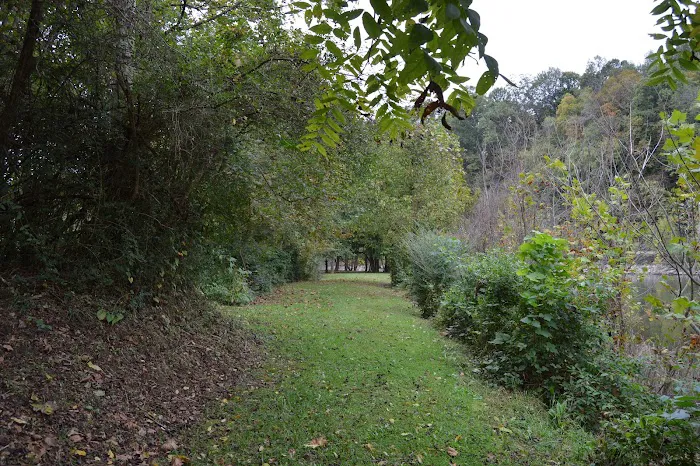 Island Park Campground Picture 4