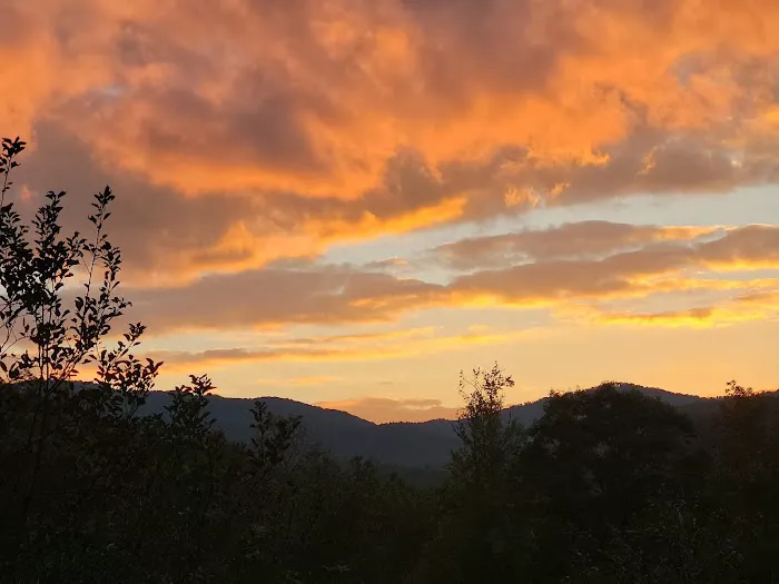 Plumtree Campground and Retreat Picture 4