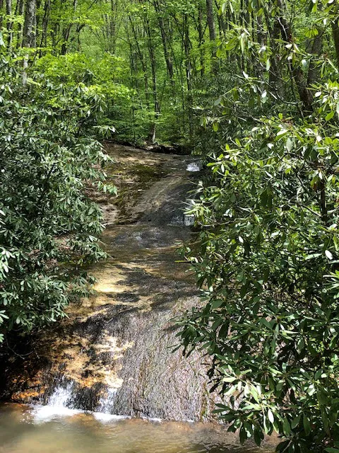 Plumtree Campground and Retreat Picture 5