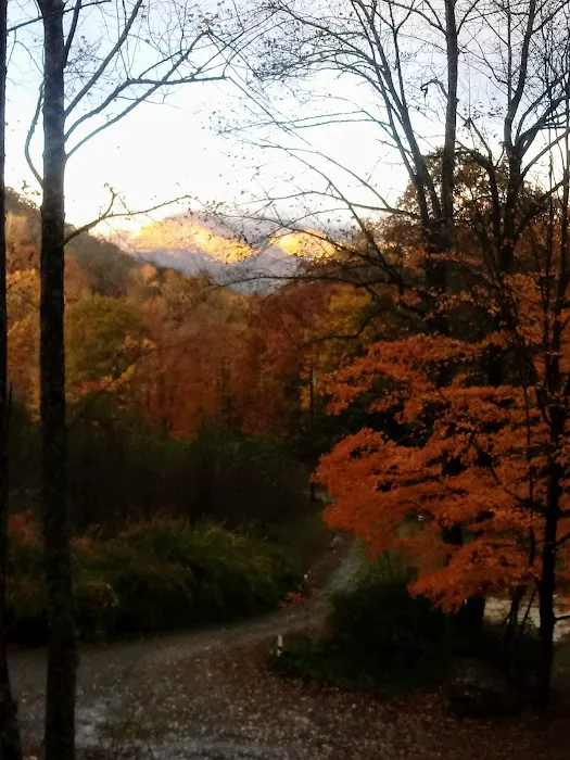 Plumtree Campground and Retreat Picture 3