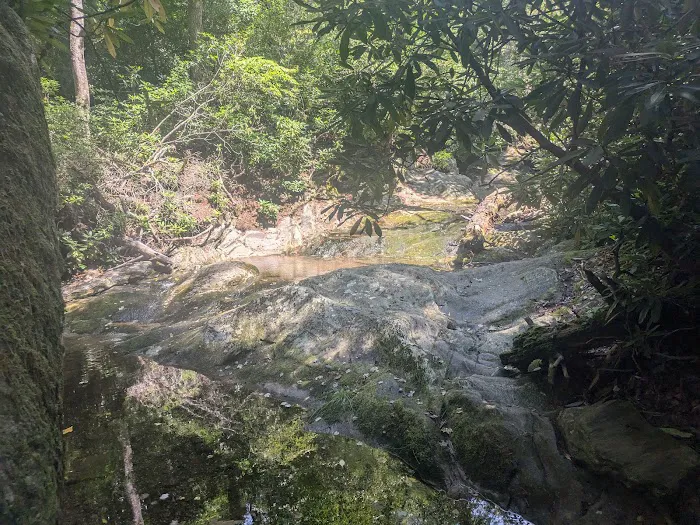 Linville Falls Campground RV Park & Cabins Picture 8