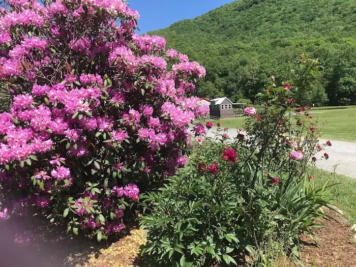 Buck Hill Campground Picture 2