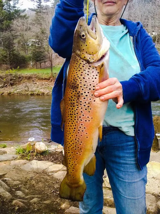 Buck Hill Campground Picture 8