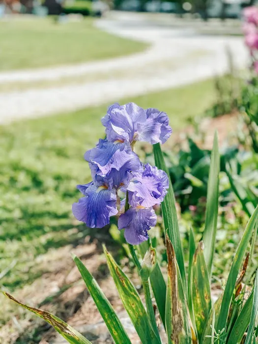 Mountain River Family Campground Picture 7