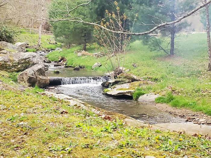 The Little Campground and Cabin Picture 2