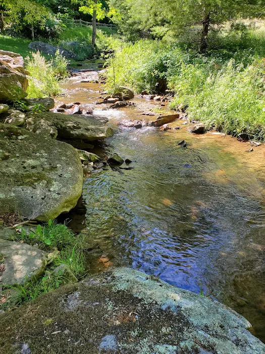 The Little Campground and Cabin Picture 10